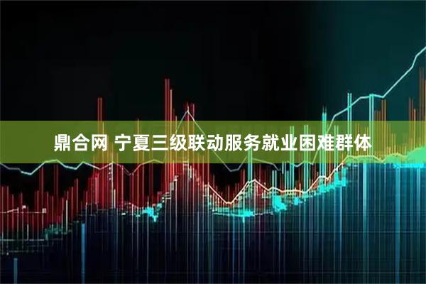 鼎合网 宁夏三级联动服务就业困难群体