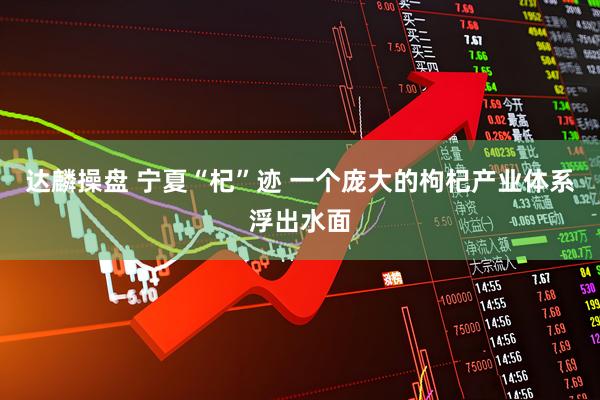达麟操盘 宁夏“杞”迹 一个庞大的枸杞产业体系浮出水面