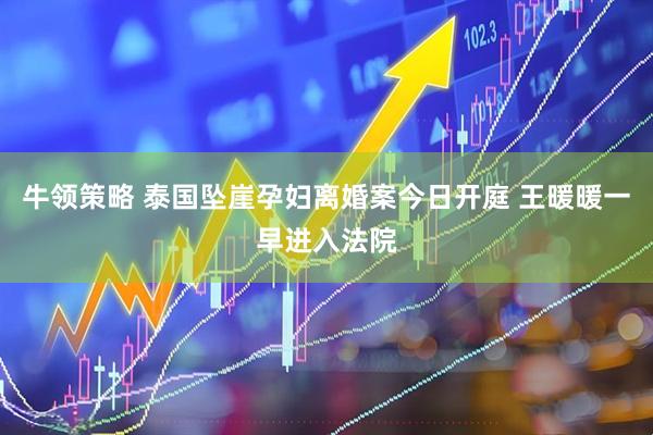 牛领策略 泰国坠崖孕妇离婚案今日开庭 王暖暖一早进入法院