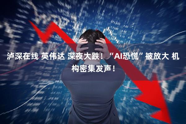 泸深在线 英伟达 深夜大跌!“AI恐慌”被放大 机构密集发声!